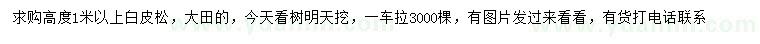 求購高1米以上白皮松