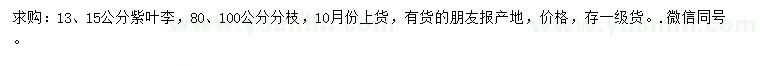 求購13、15公分紫葉李