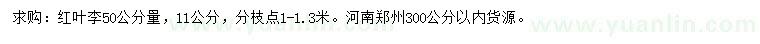 求購50量11公分紅葉李