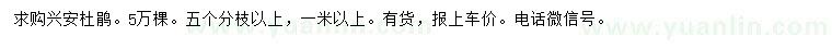 求購興安杜鵑