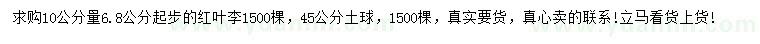 求購10量6.8公分以上紅葉李