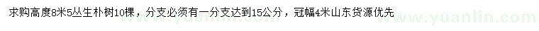 求購(gòu)高8.5米叢生樸樹