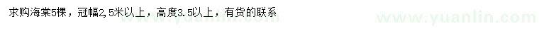 求購高3.5米以上海棠