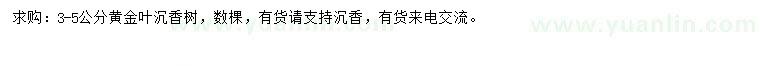 求購3-5公分黃金葉沉香樹