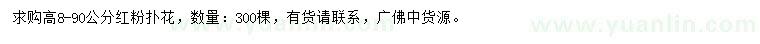 求購高8-90公分紅粉撲花
