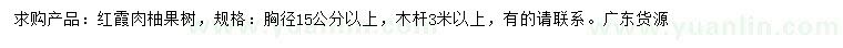 求購胸徑15公分以上紅霞肉柚