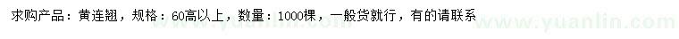 求購(gòu)高60公分以上黃連翹