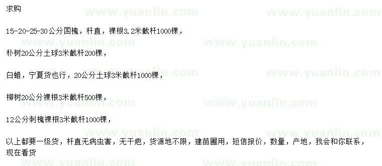 求購國槐、樸樹、白蠟等