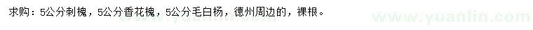求購刺槐、香花槐、毛白楊