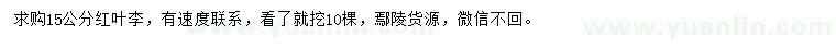 求購15公分紅葉李