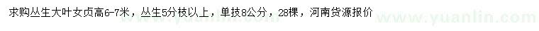 求購高6-7米叢生大葉女貞