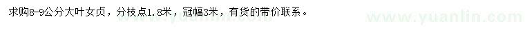 求購8-9公分大葉女貞