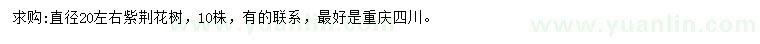 求購(gòu)20左右紫荊花樹
