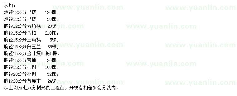 求購(gòu)早櫻、五角楓、烏桕等
