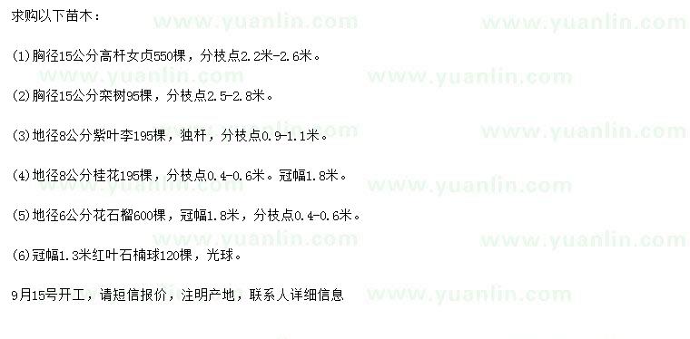 求購(gòu)高桿女貞、欒樹(shù)、紫葉李等