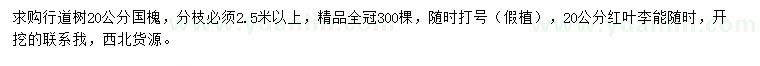求購(gòu)20公分國(guó)槐、紅葉李