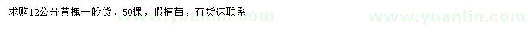 求購12公分黃槐