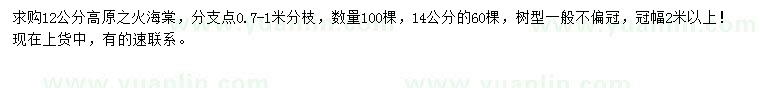 求購12、14公分高原之火海棠