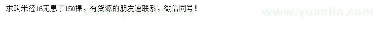 求購米徑16公分無患子