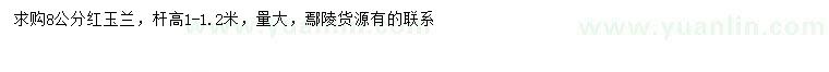 求購8公分紅玉蘭