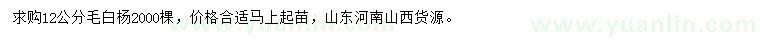 求購(gòu)12公分毛白楊