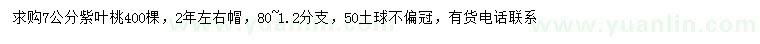 求購(gòu)7公分紫葉桃