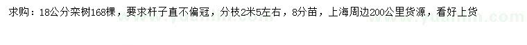 求購18公分欒樹
