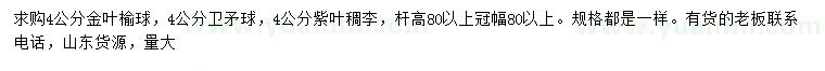 求購(gòu)金葉榆球、衛(wèi)矛球、紫葉稠李