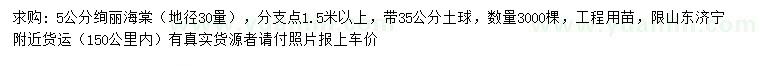 求購30量5公分絢麗海棠