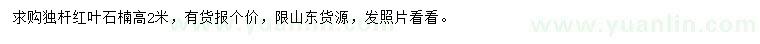 求購高2米紅葉石楠