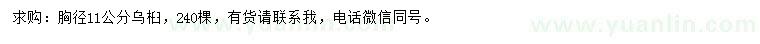 求購胸徑11公分烏桕