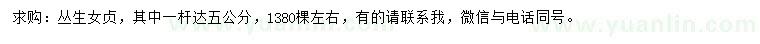 求購(gòu)叢生女貞