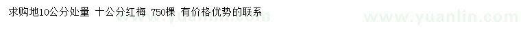 求購(gòu)10量10公分紅梅