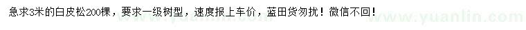 求購(gòu)3米白皮松