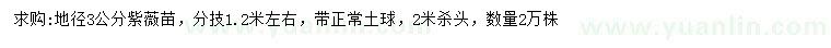 求購地徑3公分紫薇