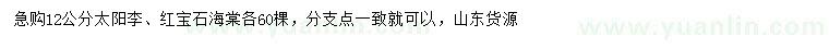 求購(gòu)12公分太陽(yáng)李、紅寶石海棠