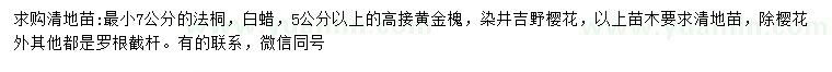 求購法桐、白蠟、黃金槐等