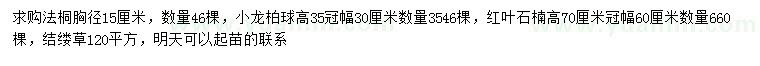 求購法桐、小龍柏球、紅葉石楠等