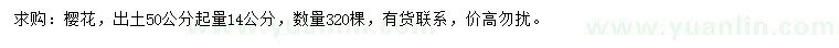求購50量14公分櫻花