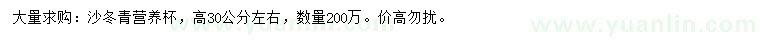 求購(gòu)高30公分左右沙冬青
