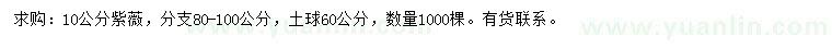 求購(gòu)10公分紫薇