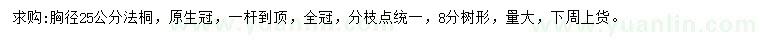 求購胸徑25公分法桐