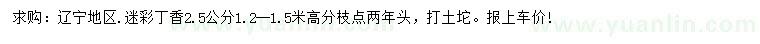 求購2.5公分迷彩丁香