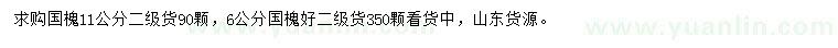 求購6、11公分國槐