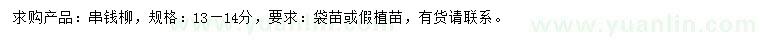 求購13-14公分串錢柳