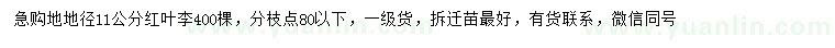 求購地徑11公分紅葉李