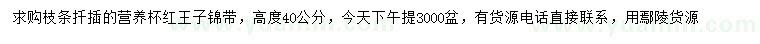 求購高40公分紅王子錦帶
