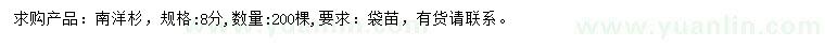 求購8公分南洋杉