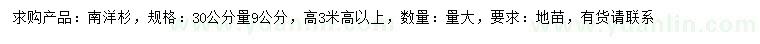 求購30公分量9公分南洋杉