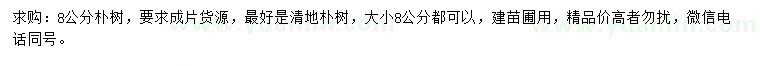 求購8公分樸樹